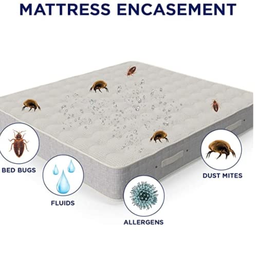 Mattress Encasements for Bed Bugs